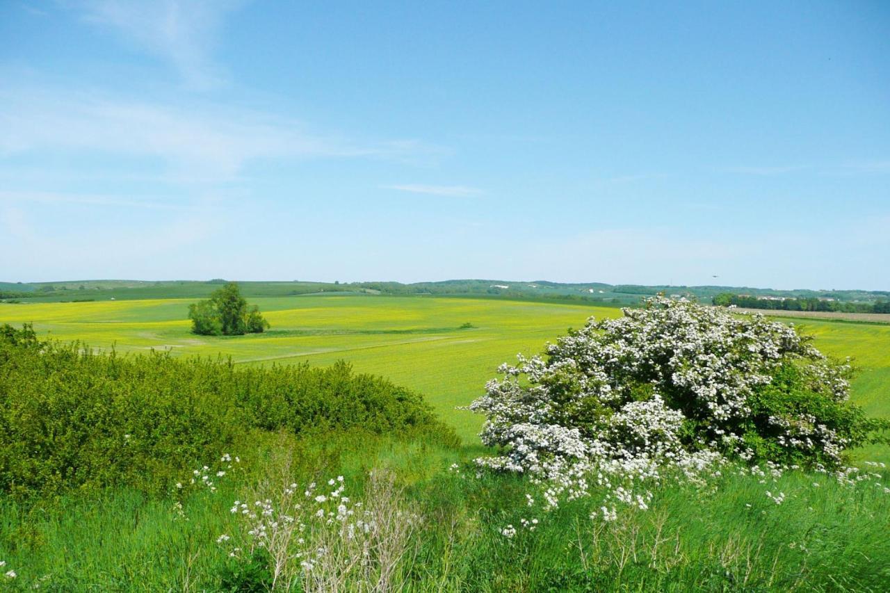 Ferienresidenz Zwei Bodden FeWo Dorothea 1 3 Meerblick, Balkon Lietzow Exterior foto